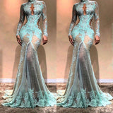 Gorgeous Long Sleeves Mermaid Evening Dress Lace Formal Dress-Ballbella